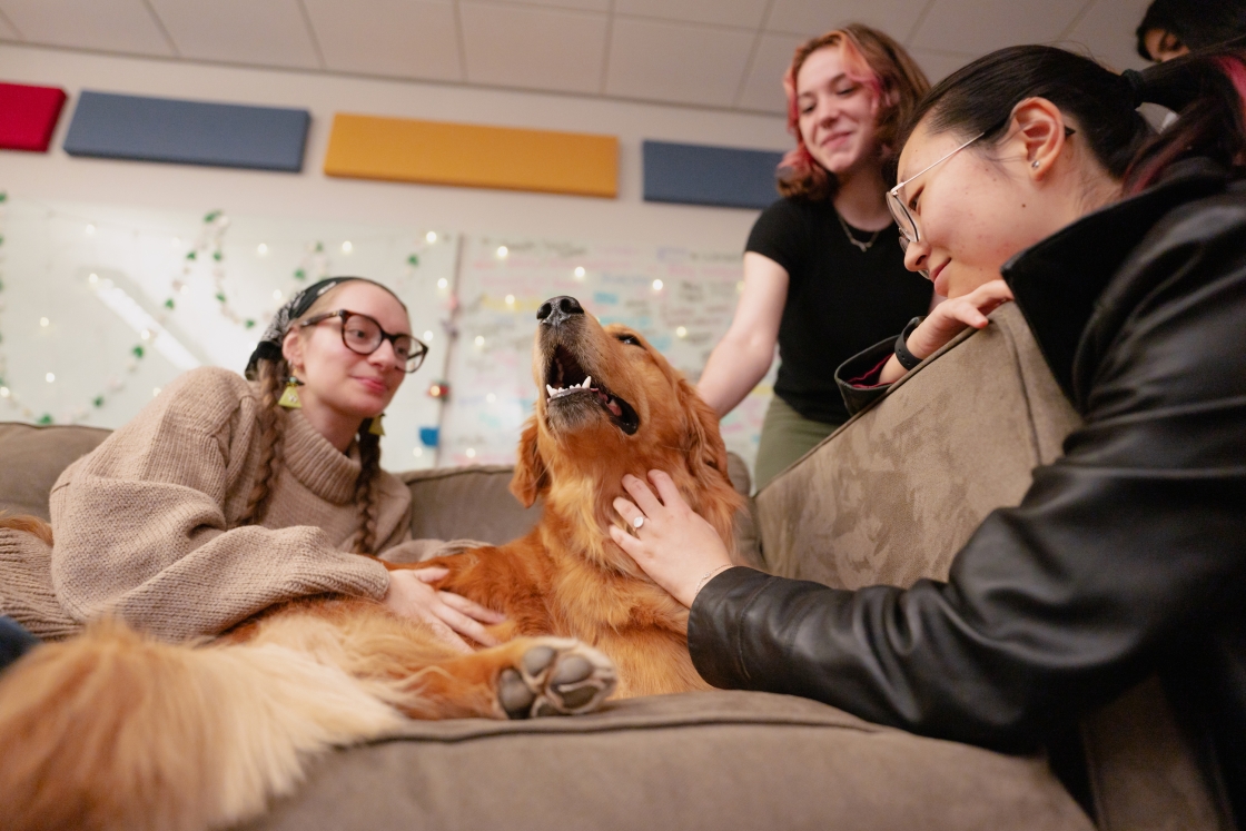 Golden Retriever Poppy, a therapy dog, with students