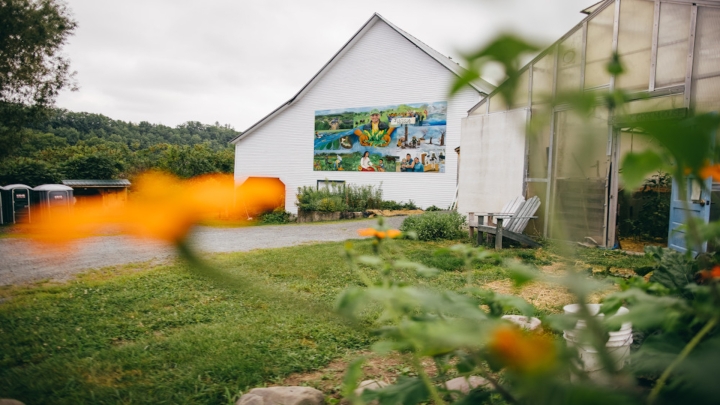 Dartmouth Organic farm