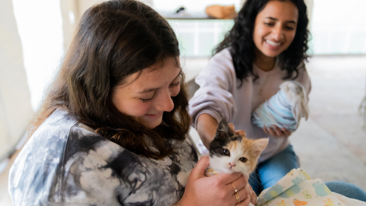 Two students holding a kitten and a bunny