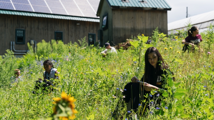 Students gather data for Agroecology Class
