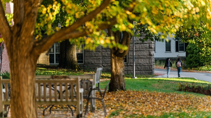 Fall Is for Foliage | Dartmouth