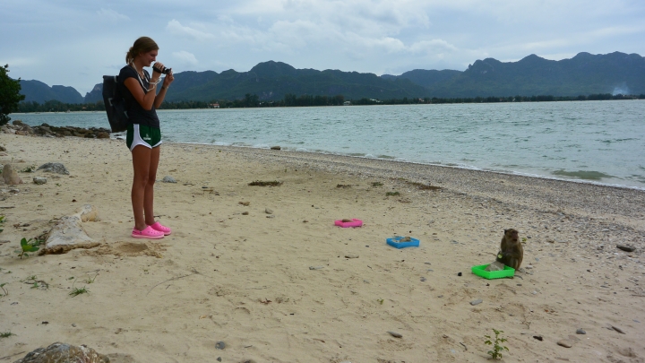 Jessica Rosien videotaping her macaques experiment