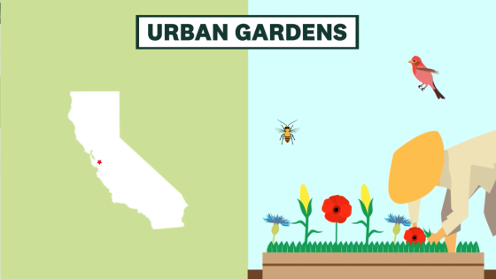 Graphic that shows the state of California and a woman gardening