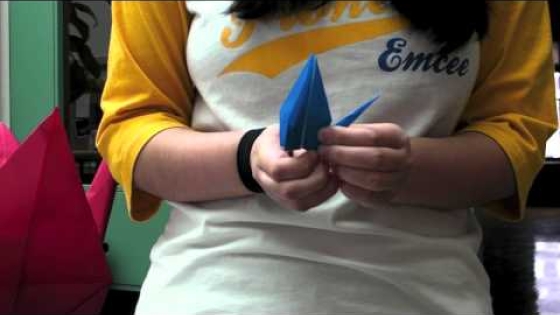 Dartmouth Students Create Thousands of Paper Cranes to Support Japan