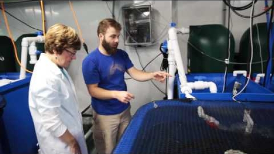 Students and Faculty Collaborate on Aquaculture Research