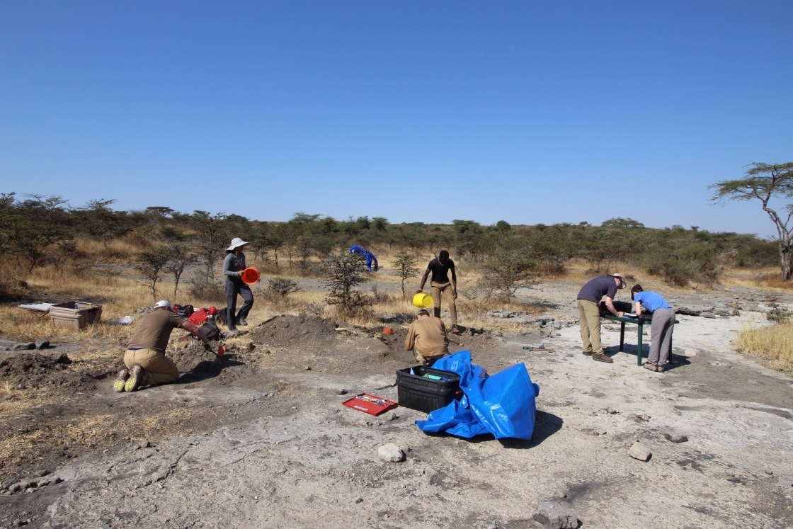 A team excavating at site A, including Prabhat, Fannin, DeSilva, and Miller.