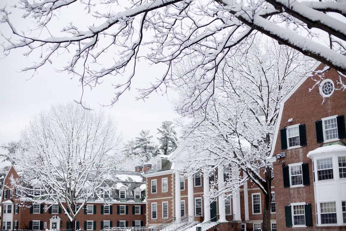 Snow covered trees in front of Tuck Hall