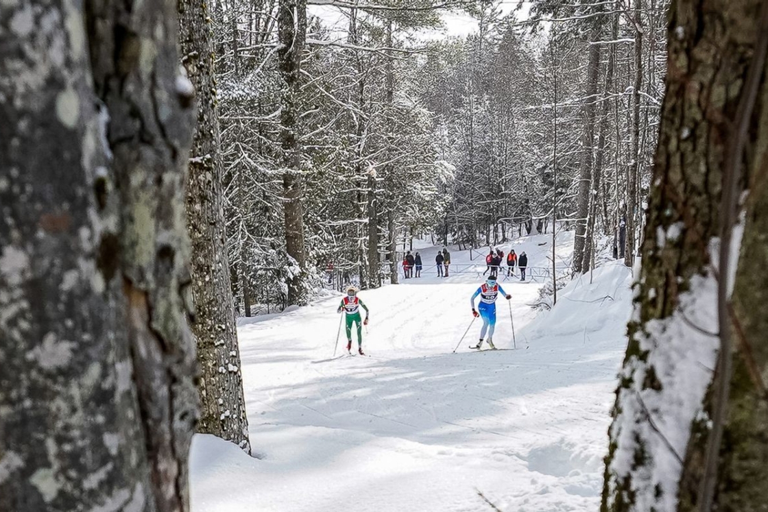 Skiers going up a snowy hill