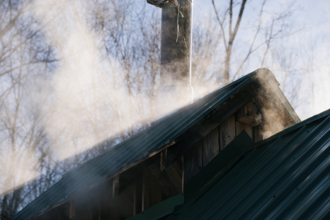 Steam rising outside the sugar shack.