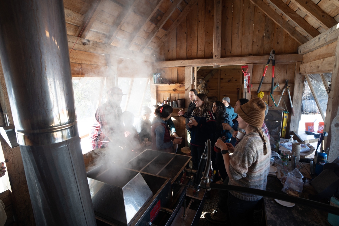 Steam from the boiling sap rises inside the sugar shack