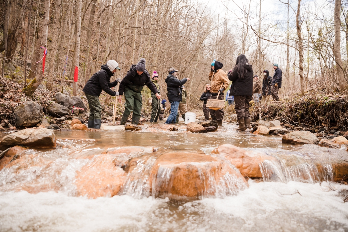 Students doing a lab in a running brook