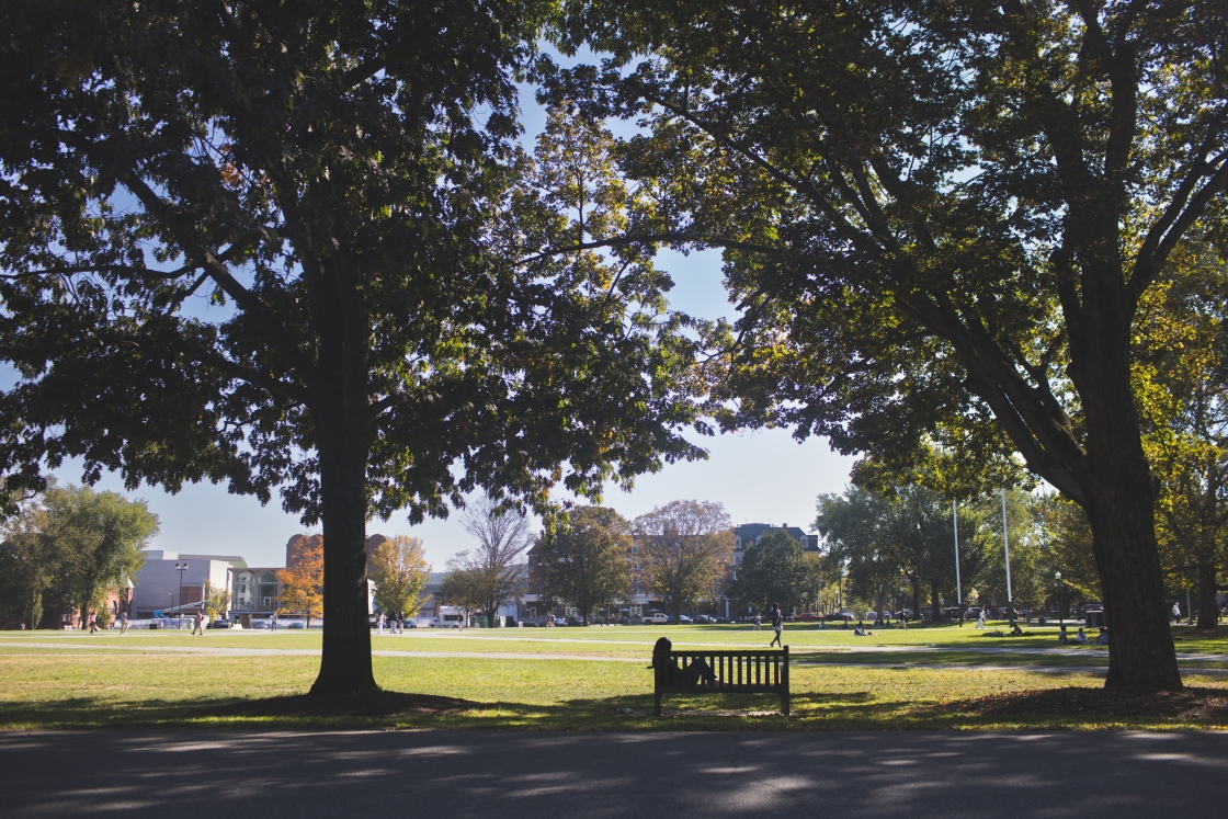 A student reading on a bench