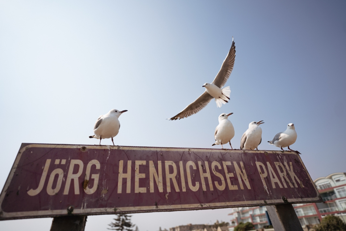 A sign with gulls sitting on it