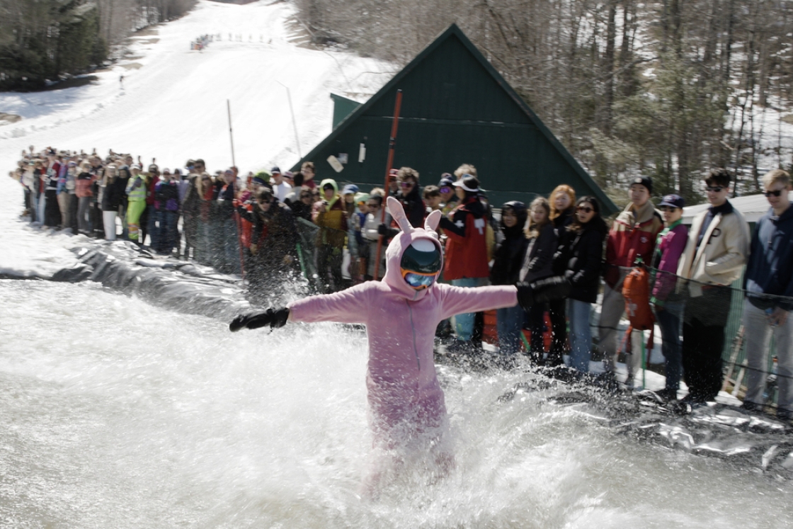 A person dressed as a bunny skims water on skis