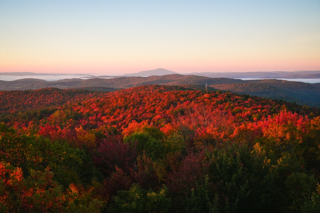 Bright red leaves against light pink sunrise in the Upper Valley