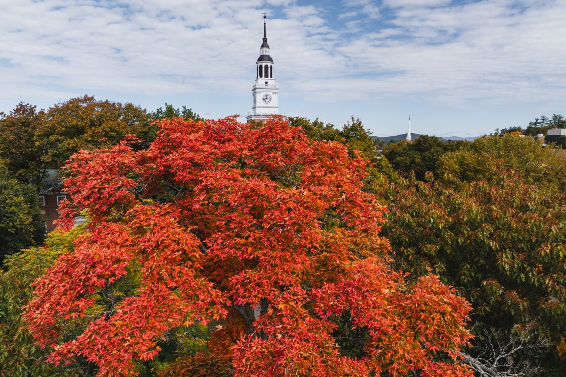 Orange leaves in the foreground, Baker Tower in the distance