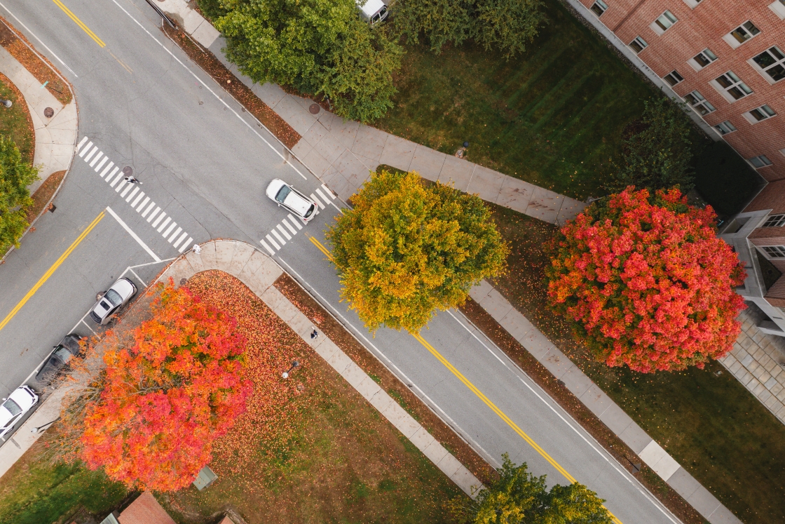 Birds-eye-view of orange and yellow trees lining an intersection on campus