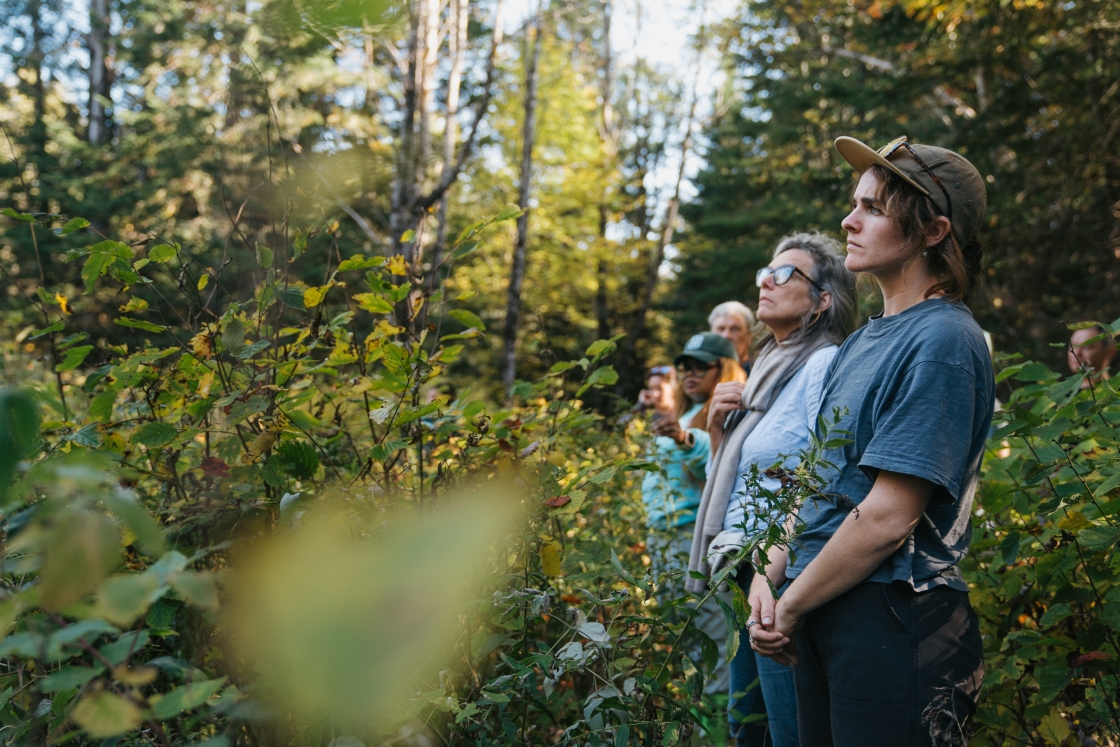 People stand an stare at nature