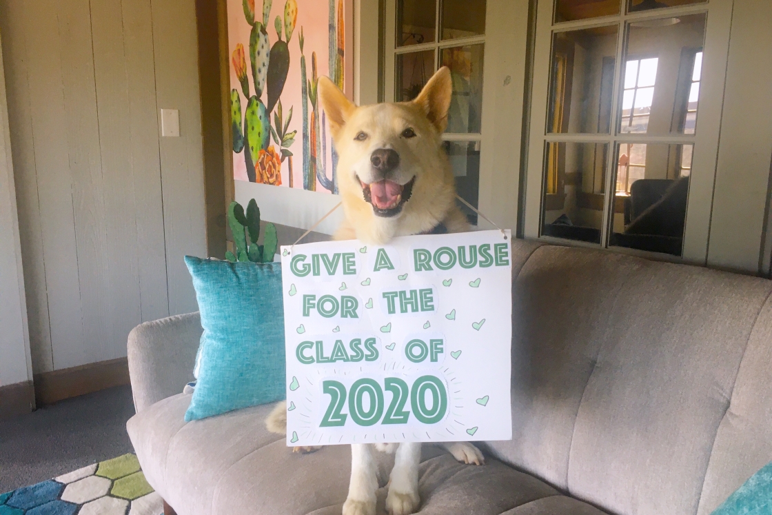 Dog holds poster congratulating the 2020 class