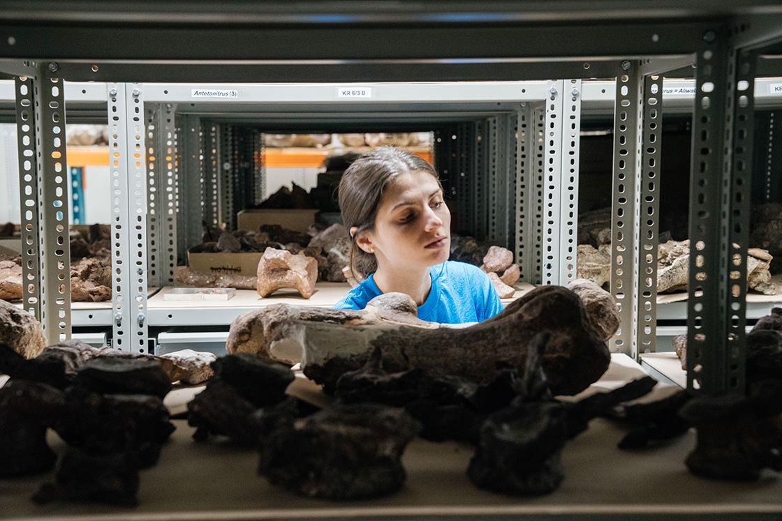 Olivia Wiener ’19 explores the dinosaur fossils in the collections at Witwatersrand.