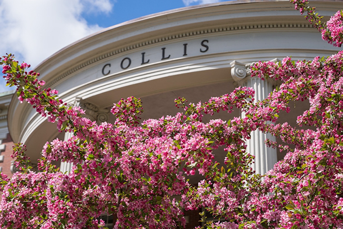 a tree with pink flowers blooming in front of the columns of the Collis Center