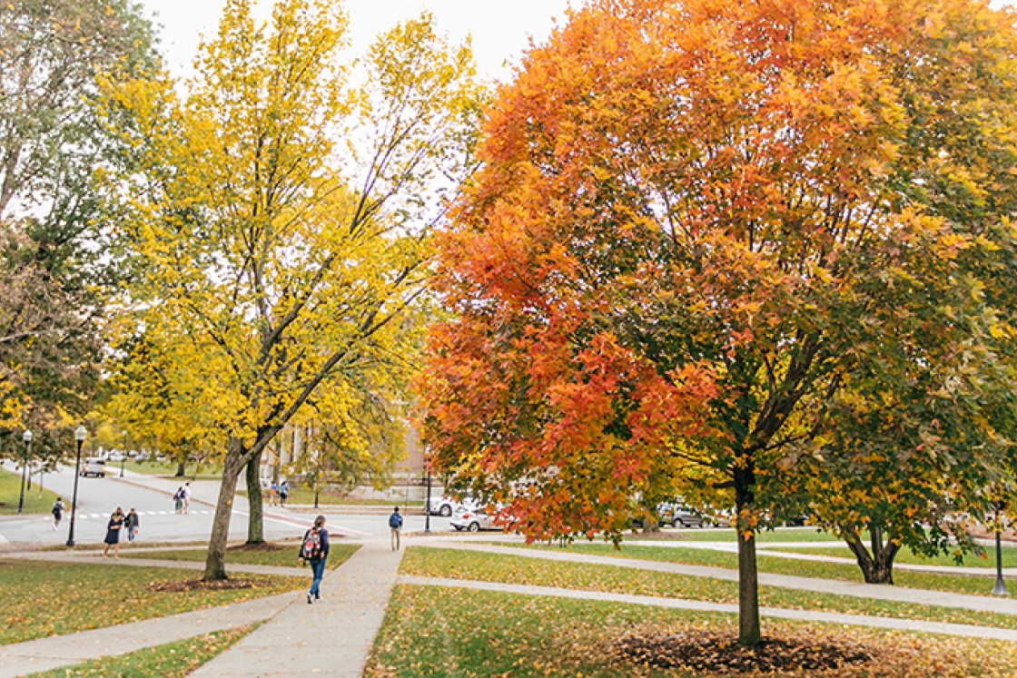 trees on campus with leaves that have turned yellow and orange