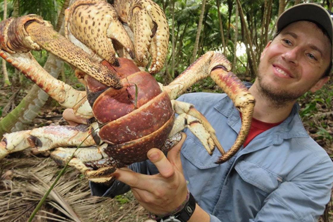 Mark Laidre holding a live adult coconut crab