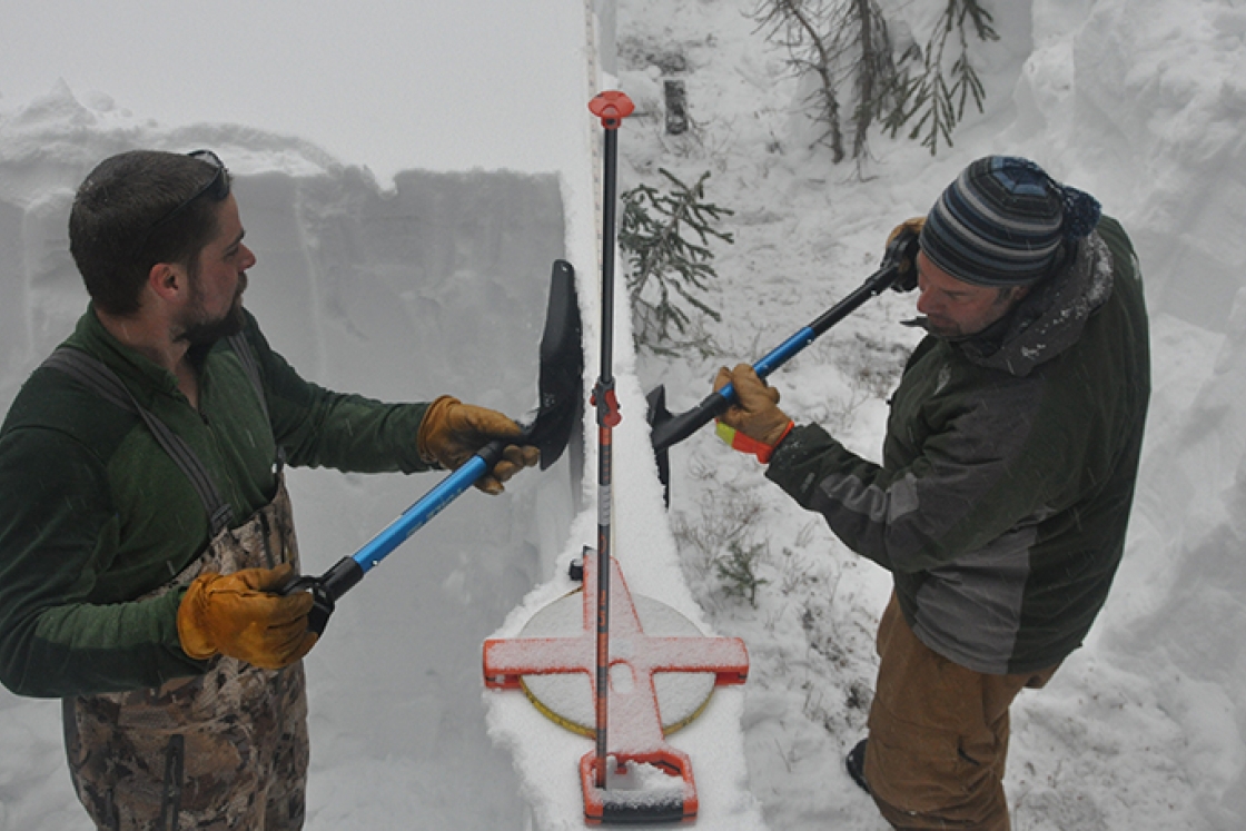 two researchers digging in the snow