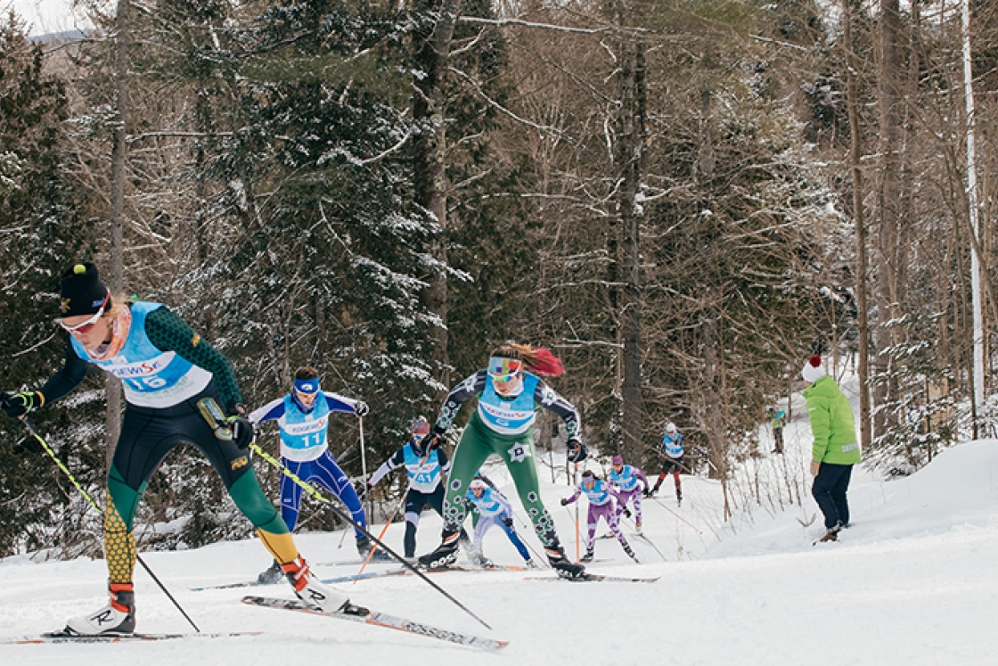 a group of skiers racing
