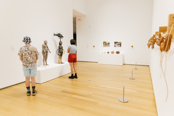 People look at art in the newly reopened Hood Museum