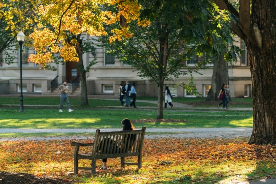 A Dartmouth student sits on a bench underneath fall foliage