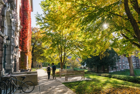 Two people walking down a sidewalk surrounded by colored leaves