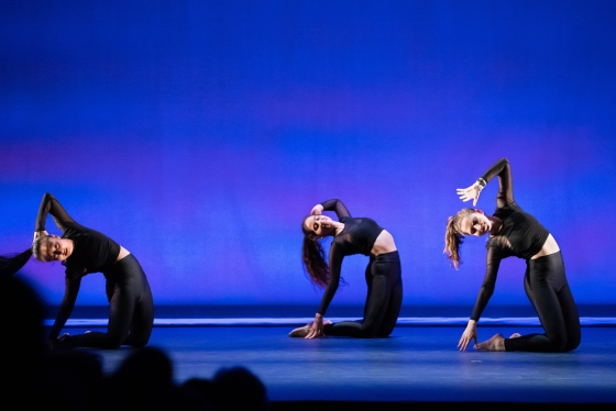 Members of dance troupe Sugar Plum performing against a deep-blue background
