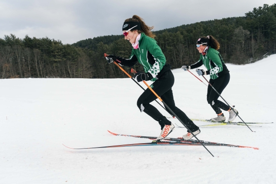 Two people nordic skiing