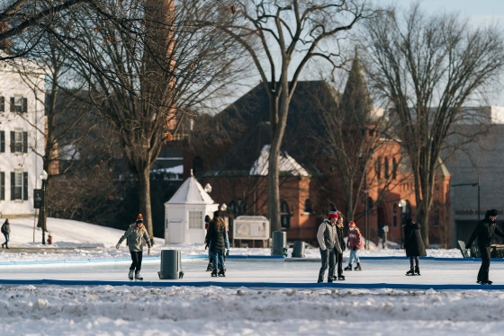 People ice skating on the Green