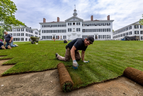 Landscapers laying sod