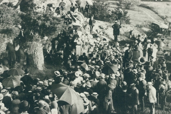 A crowd of people standing around a large pine tree