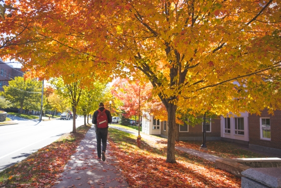 A student walking under a glowing orange tree through the Geisel end of campus