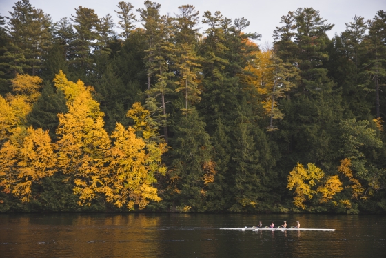 Men's crew team rowing down the Connecticut River, yellow trees line the banks