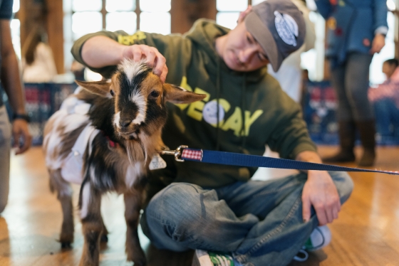 Matt Kelly petting a goat