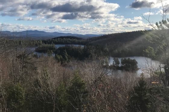 View of Smith Pond from Half Mile Pond trail