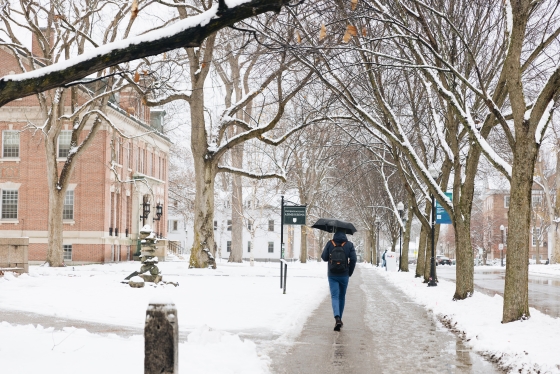 Person walks by Undergraduate Admissions with an umbrella in the snow
