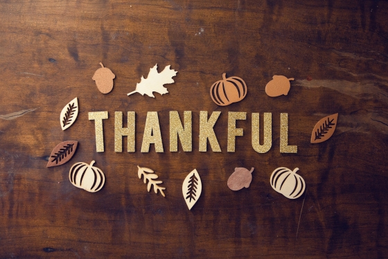 Thankful spelled out with acorns and leaves around it