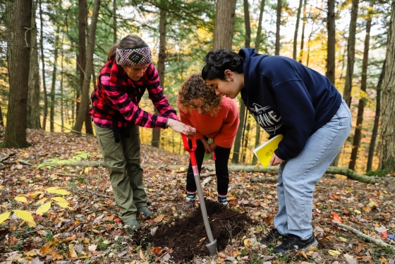 Video of students in the Hubbard Brook Experimental Forest