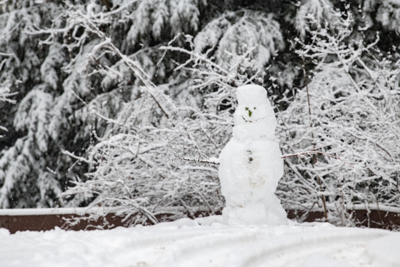 A snowman in front of snow dusted pines