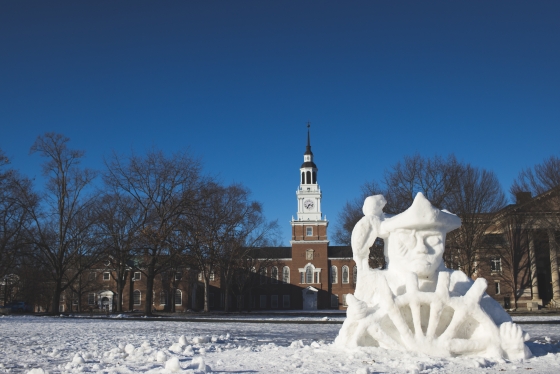 A pirate and parrot carved into a snow sculpture on the Green