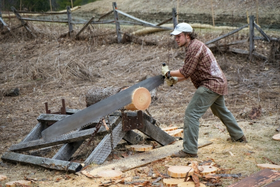 Ian Farm '24 saws through a log during timber team practice.