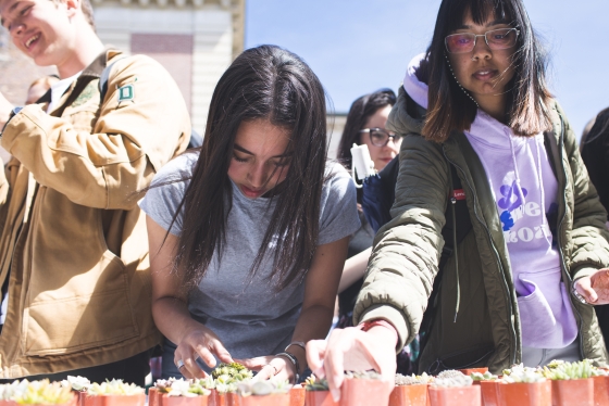 Students plant and adopt a succulent.