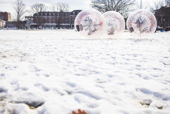 Students rolling inside giant Zorbs