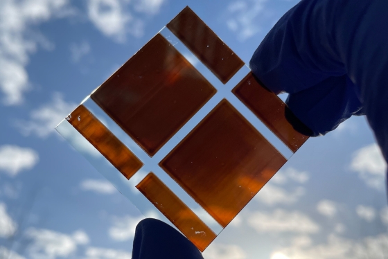 Someone holding a printed perovskite absorber film for solar modules